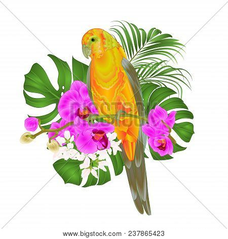 Sun Conure Parrot Tropical Bird Standing On A Purple Orchid  Phalaenopsis And Palm, Phiodendronon A 