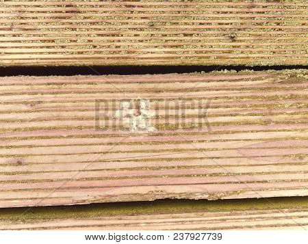 The Surface Of The Hardwood Floor Treated With A Fungicidal And Insecticidal Sealer. Places With Lic