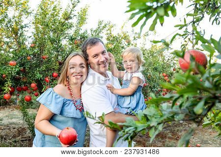 Portrait Of Parents With Baby Girl Daughter Having Rest And Fun In The Pomegrate Fruit Garden On The