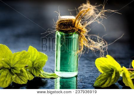 Mint Or Mentha Or Pepper Mint Essence On Wooden Surface With Raw Organic Mint Leaves Used As A Flavo