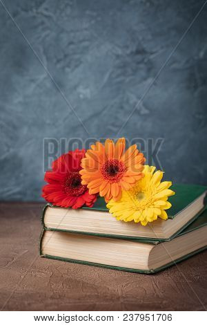 Autumn Back To School Postcard Concept, Old Book, Gerberas, Toned