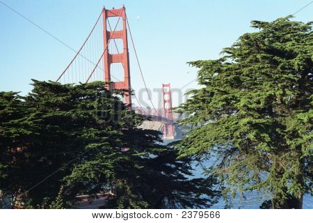 A Golden Gate Park