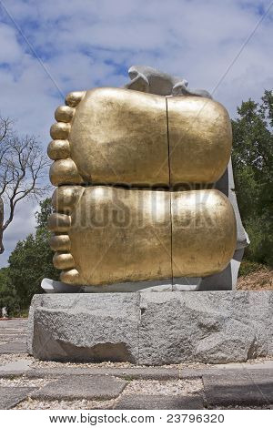 Piante dei piedi del Buddha