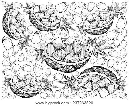 Fresh Fruits, Illustration Wall-paper Background Of Hand Drawn Sketch Delicious Fresh Yellow Pineapp