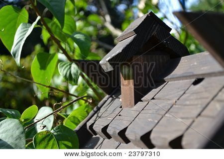 햇빛에 birdhouse의 지붕