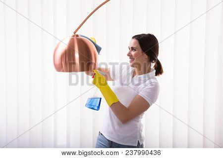 Close-up Of A Smiling Young Woman Cleaning Electric Lamp With Spray At Home