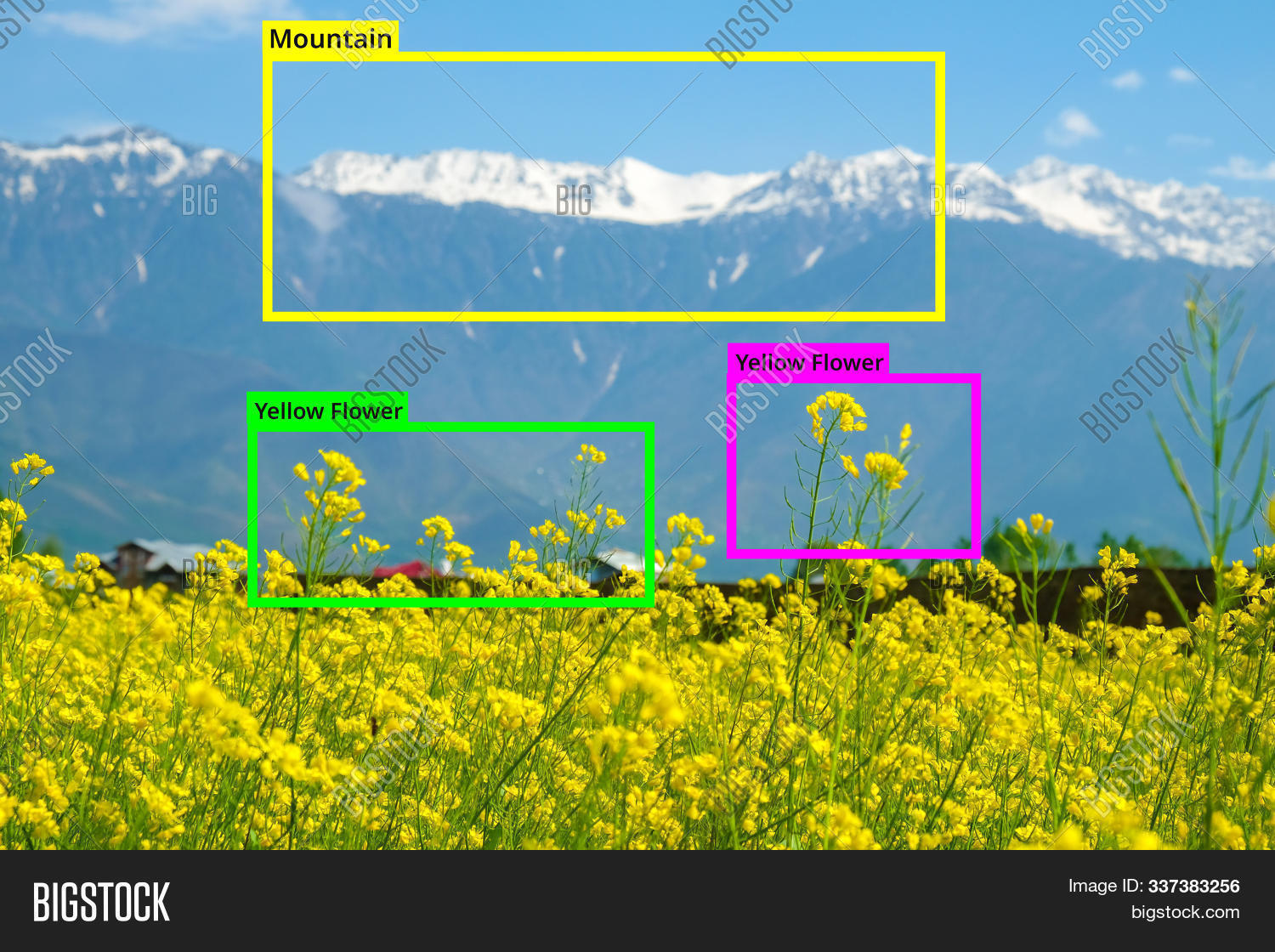 Image Preview