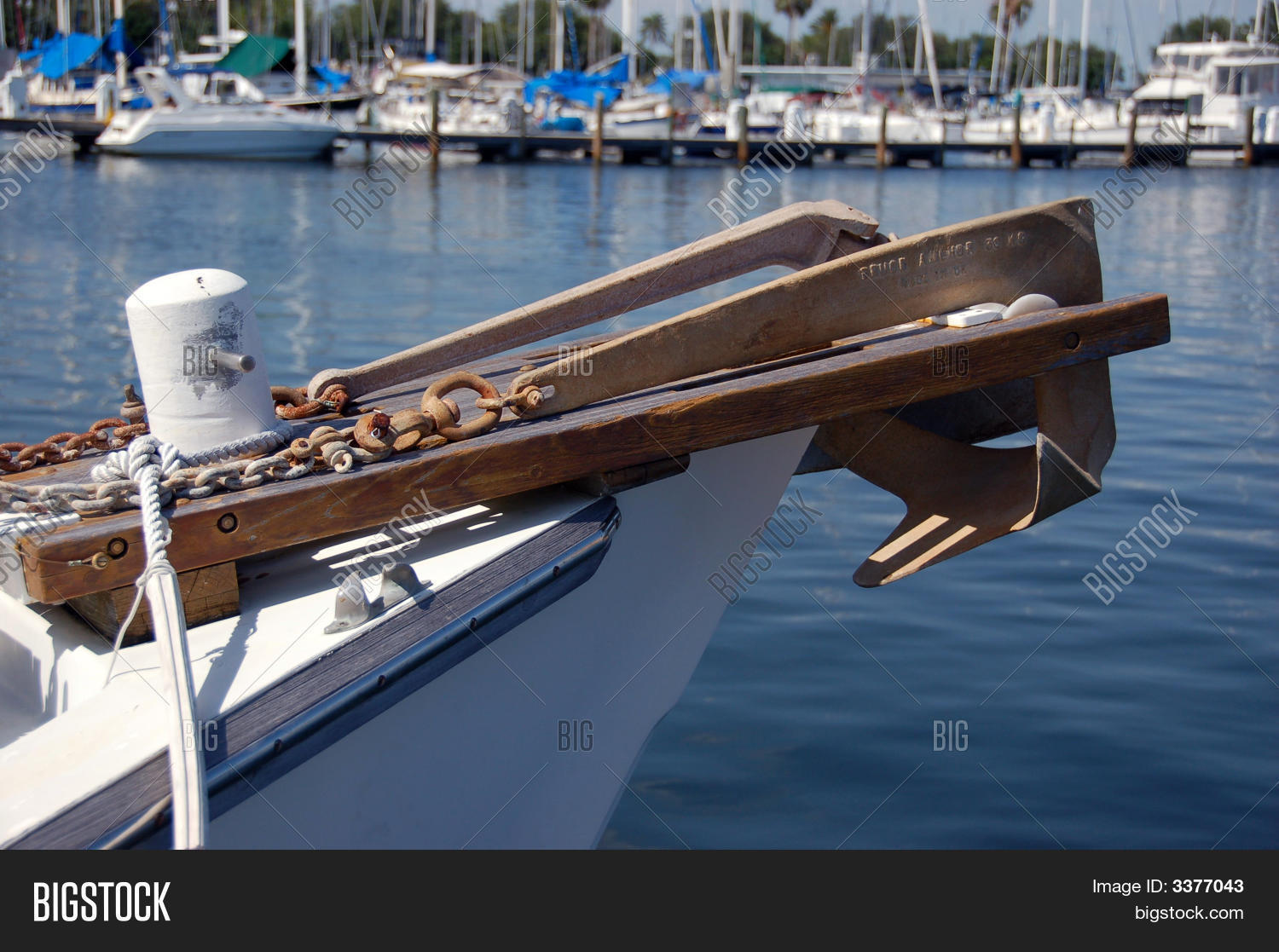 Image Preview
