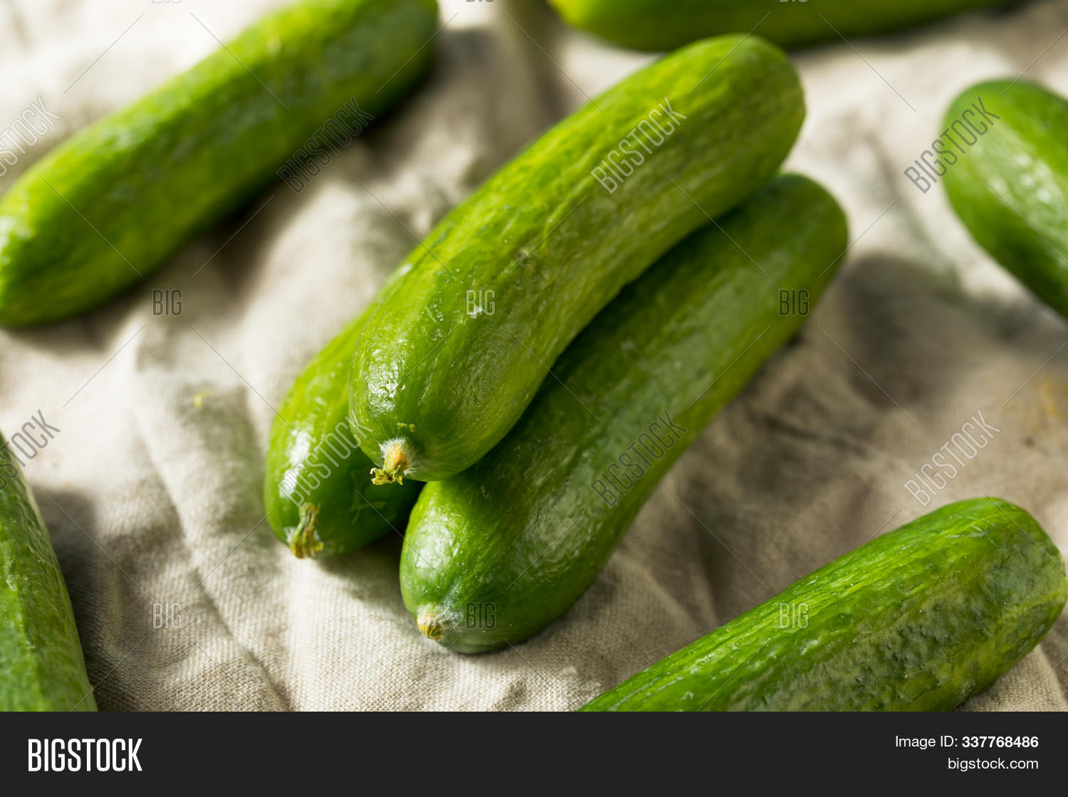 raw-green-organic-baby-image-photo-free-trial-bigstock