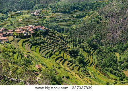 Viewpoint Of The Terraces (miradouro Dos Socalcos), Overlooking The Agricultural Terraces (famous Ti