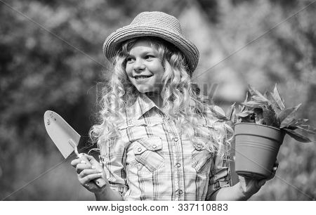 Hobby. Environment Ecology. Green Nature Protection. Small Girl Farmer Care About Plant In Pot. Farm