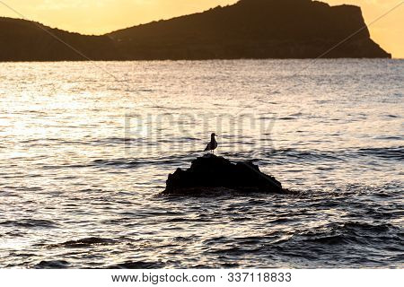 Beautiful Sunshine In Aigues Blanques, Ibiza, Spain.