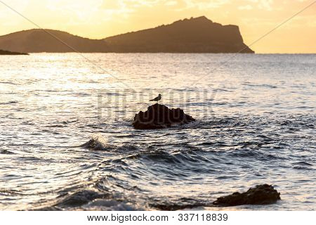 Beautiful Sunshine In Aigues Blanques, Ibiza, Spain.