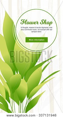 Editable Instagram Template For Stories And Streaming. Young Aspidistra Elation Plant Or Cast-iron F