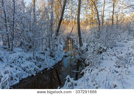 Gorgeous View Of Winter Nature Landscape. Stream In Winter Forest. Beautiful Nature Landscape. Trees