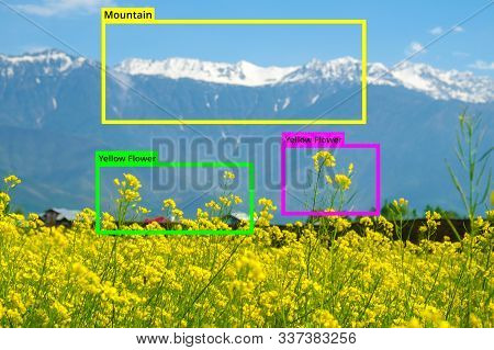 A.i. Artificial Intelligence To Identify Objects Technology,machine Learning Concept. Image Processi