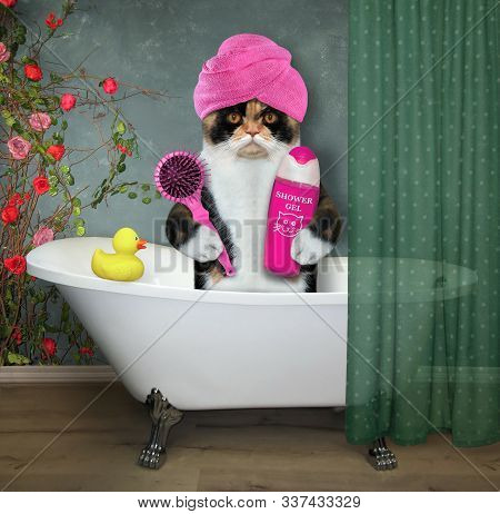 The Multi Colored Cat With A Pink Towel Around Its Head Is Sitting In The White Bath At The Hotel. I
