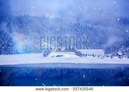 Frozen lake and pine trees in snowfall at Colibita. Romania early morning winter secen.