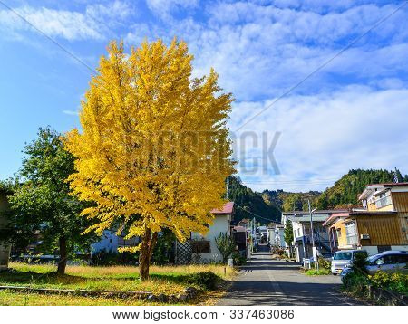 Autumn Scenery In Kyoto, Japan