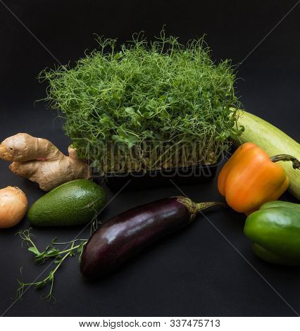 Fresh vegetables and micro greens sprouts on black background. Concept of superfood and healthy organic food