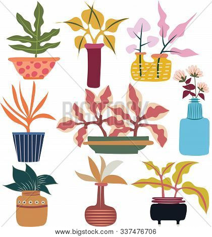 Vector Houseplants In Decorative Pots Colorful Illustrations.