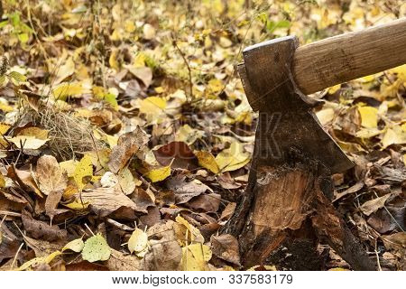 The Ax Is Stabbed With A Blade Into The Stump. Ax With Wooden Handle.