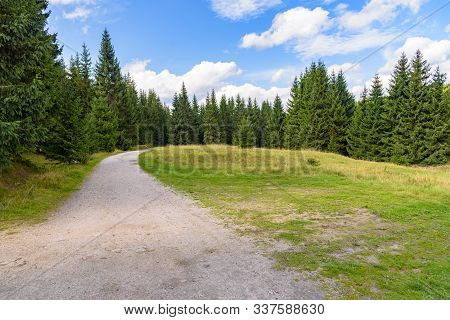 Forest Road To Orle Shelter In Jizera Mountains, Jakuszyce, Poland