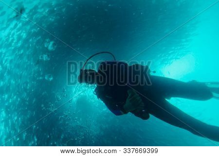 Scuba Diver Swimming Under The School Of Fish. Under Water. A Flock Of Fish Inside The Fish Farm, Br