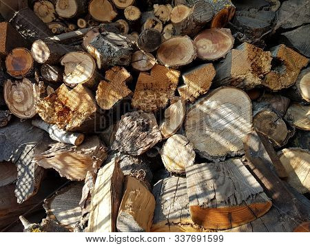 Warehouse Logs Of Different Types Of Wood Harvested For The Winter.