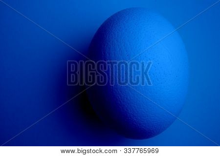 Camel-bird Egg. Classic Blue Color - Trend Of 2020. Copy Space