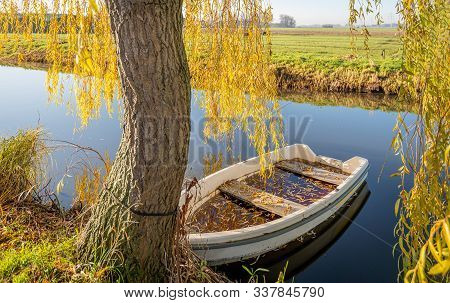 Rowing Boat Filled With Water And Yellow Colored Leaves Fallen From The Weeping Willow On The Shore.
