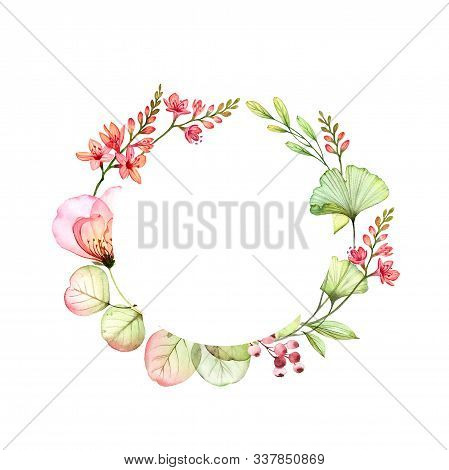 Transparent Rose Image Photo Free Trial Bigstock