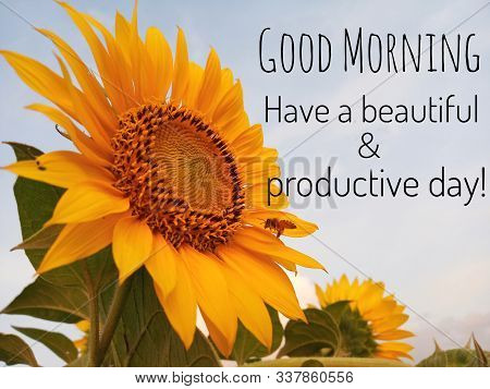 Inspirational Quote - Good Morning. Have A Beautiful And Productive Day. With Background Of Blue Sky