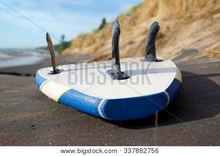 Wet Black And White Supboard Close Up Lying On The Shore With Black Fins Up. Monochromatic Photograp