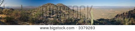 Saguaro National Park