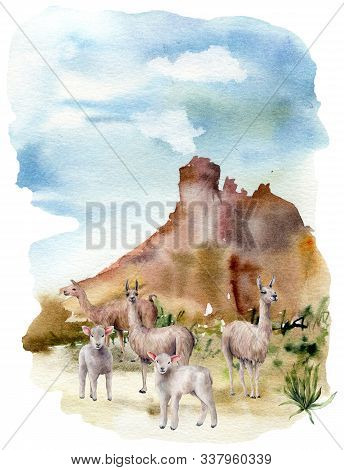 Watercolor Spring Card With Lamas And Lambs. Hand Painted Green Meadow With Grass, Cacti And Sheep I