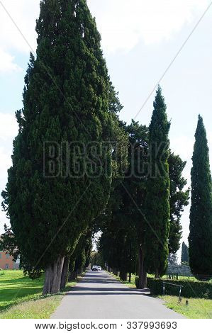 Appian Way Near The Catacombs In Rome, Italy