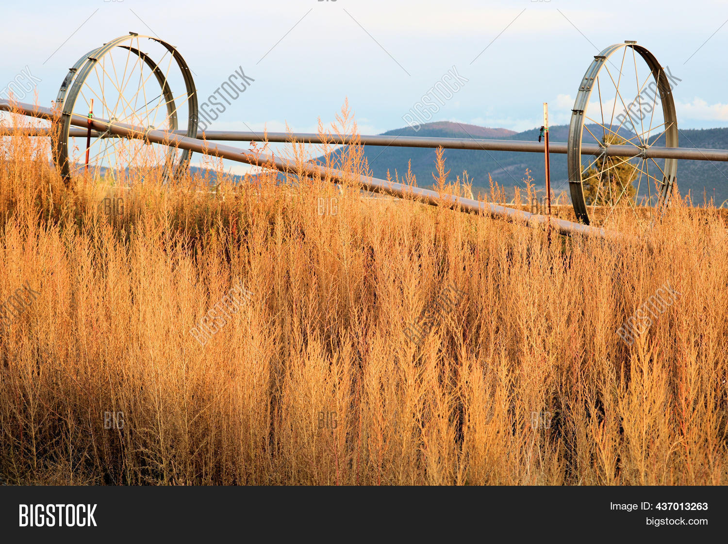 Rustic Farming Image & Photo (Free Trial) | Bigstock