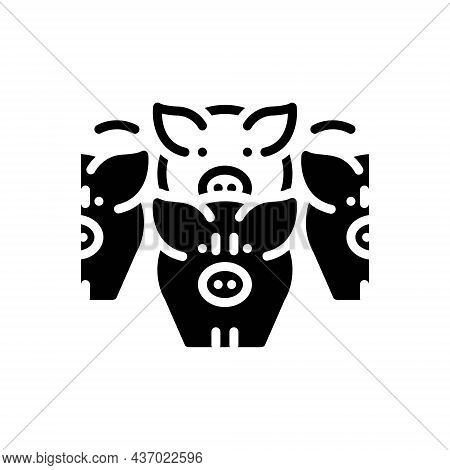 Black Solid Icon For Drove Herd Fold Pig Meat Swarm