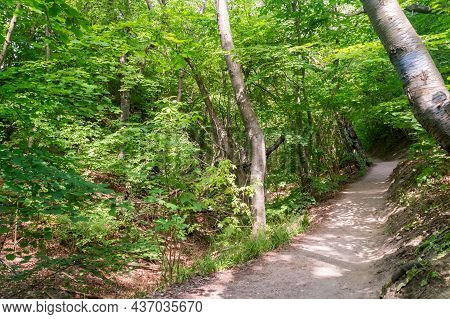 Path In Fox Ravine (lisi Jar) At Summer Time In Jastrzebia Gora, Poland.