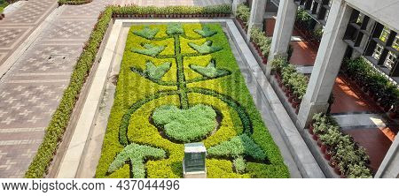 Made A Beautiful Flower From Leaves And Leaf And Nature. Beautiful, Amazing And Good Looking Image O