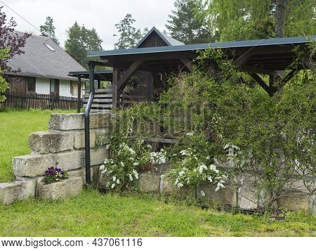 View Of Summer Garden With Wooden Gazebo Pergola With Blooming Climbing Plant Flowers And Surroundin