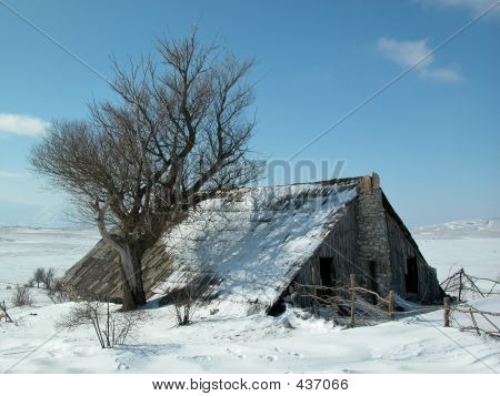 Starý dům