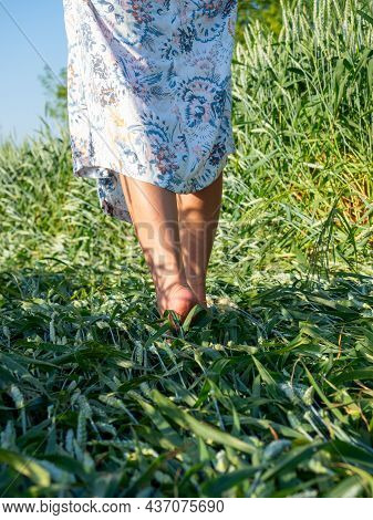 Close Up Of The Bare Feet Of A Girl Dressed In A Dress Who Is Walking On The Grass In The Evening. V