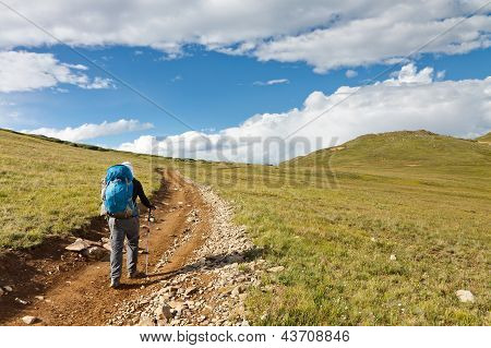 Wandern in der tundra