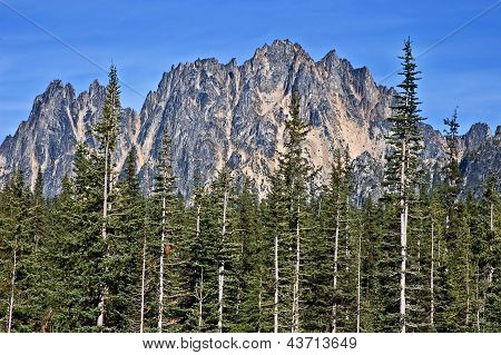 Montagna aspra In estate Liberty Bell Washington