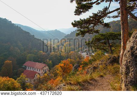 Idyllic And Beautiful Autumn Landscape: Pine Tree Forest Near Moedling. Beautiful City Next To Vienn