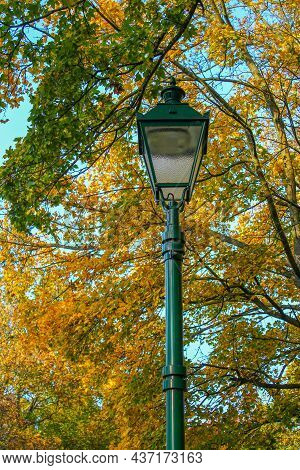 Green Lantern In Park. Autumn Fall Forest With Trees With Yellow Leaves In The Background.