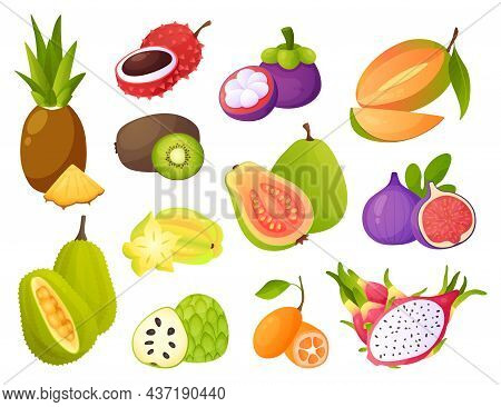 Exotic Fruits. Juicy Pineapple And Mango, Tropical Guava And Tasty Fig, Mangosteen And Carambola, Ca
