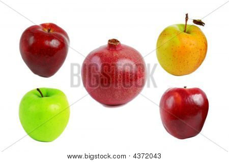 Ovoce